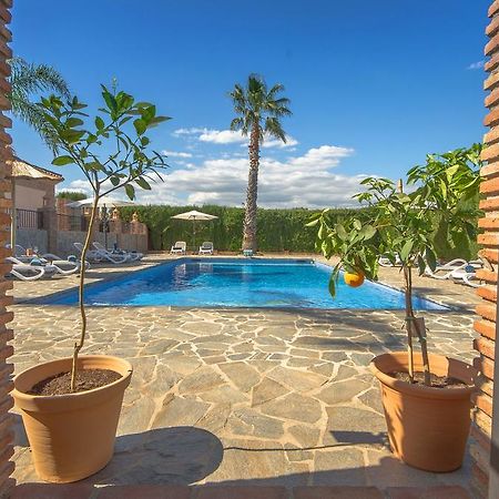 Villa Conmigo Bed & Breakfast Alhaurín de la Torre Dış mekan fotoğraf